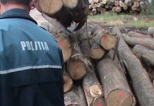 Firmă amendată cu 17.000 de lei, în urma unui control în trafic