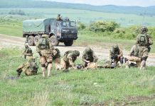 Angajări în Armată