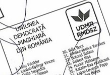 Câte voturi a strâns UDMR în Gorj