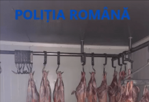 Sumă uriașă confiscată după percheziții