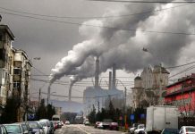 Pe ce a cheltuit CE Oltenia 3 miliarde de lei