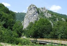 În lumea Godeanului la începutul verii