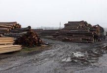 Controale la depozite de material lemnos din Peștișani