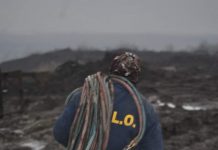 Dezinfecție în carierele Peșteana, Tismana și Jilț