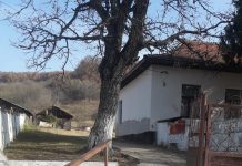 Peste un milion de lei pentru școala din Piscuri