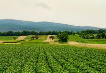 Agricultura pe înțelesul tuturor – Este imperativ să ne purtăm prietenos cu natura