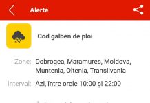 Cod galben de ploi, în Gorj