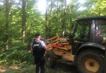 Urs găsit prins într-un laț în pădure, la Lelești