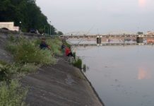 Fir întins la concursul de pescuit al AJVPS! Zeci de pescari și-au arătat măiestria pe Jiu și pe Gilort