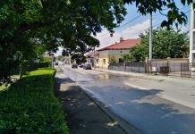 VIDEO: ,,Gheizer”, la câțiva metri de Parcul Coloanei din Târgu-Jiu!