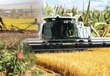 Agricultura pe înțelesul tuturor – Graficul lucrărilor agricole în luna iulie