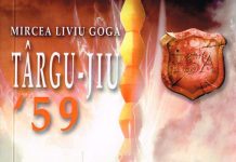 Cronica de carte – „Târgu-Jiu ’59” sau cum a reinventat Mircea Liviu Goga Amarul Târg