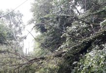 Două trenuri de călători au staționat între stații câteva ore! Circulația între Lainici și Pietrele Albe, oprită temporar după o furtună violentă