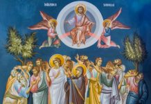 Educaţia…şi Lecţia de viaţă – «Înalţă-Te peste ceruri, Dumnezeule, şi peste tot pământul Slava Ta!»(Psalmul 56, 7)