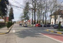 Tineri din patru ţări vin la Novaci