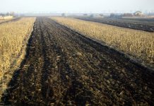 APIA a început autorizările la plată