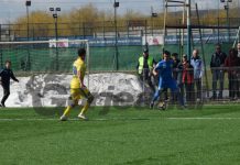 Vodă se antrenează cu Hermannstadt