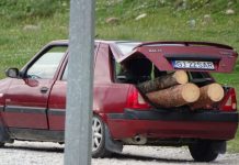 Lecție de matematică, pentru turiștii de la Peștera Muierilor: Cât lemn de foc pot încărca doi indivizi, într-un portbagaj de Dacia, ziua în amiaza mare?