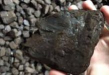 Cărbunele, pe locul II în SEN