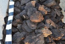 Peste patru tone de cărbune, confiscate de polițiști