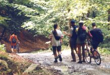 Defileul Jiului, o minune a naturii