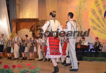 Angajări la Ansamblul Doina Gorjului