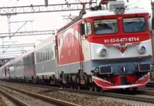 Cai loviţi de tren la Cărbuneşti