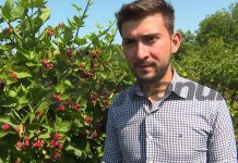 Mure gorjenești, în marile magazine din București, dar și în Occident!