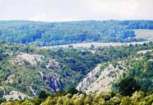 PARADISUL DE LÂNGĂ NOI