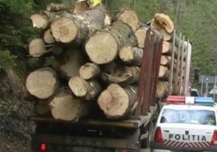 69207804_2383953335016997_3744953457656725504_n