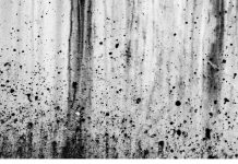 Astăzi debutează ,,Atelierele Brâncuși”! Deschiderea, la Curtișoara!