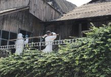 REFLECȚII DIN EXTERIORUL FRONTULUI (II)