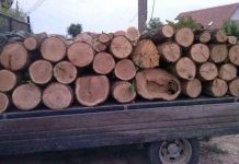 Material lemnos, confiscat de polițiști