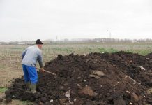 Agricultura pe înțelesul tuturor – Gunoiul de grajd – o comoară a fermierilor