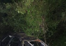 FOTO: Accident la Licurici, provocat de un tânăr care nu avea voie să urce la volan