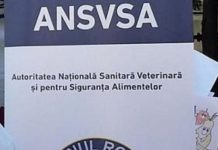 Bilanț ANSVSA: Amenzi de aproape 50.000 de lei, aplicate la Gorj