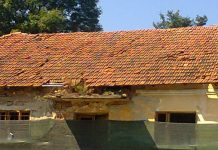 Depopularea mediului rural din Gorj: studiu de caz în Comuna Godineşti