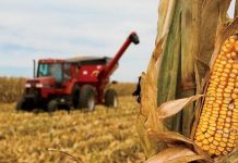 Agricultura pe înțelesul tuturor – Graficul lucrărilor agricole în luna septembrie