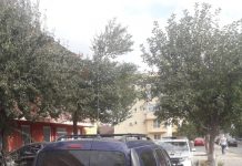 Mașina unui tânăr din Rovinari, indisponibilizată! Este acuzat că transporta ilegal persoane