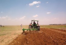 Agricultura pe înțelesul tuturor – Înființarea culturilor de toamnă