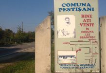 Educaţia…şi Lecţia de viaţă – Măsuri şi soluţii, pentru a răspunde provocărilor fenomenului depopulării în câteva comune gorjene!