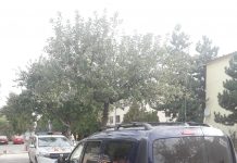 FOTO: Un tânăr din Rovinari a rămas fără mașină! Descoperirea făcută de polițiști