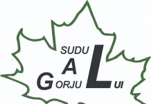 Bilanț pentru GAL Sudul Gorjului!