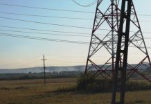 Foto- Incendiu de proporții la Brănești! Foc și la Țânțăreni