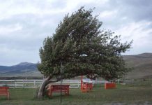 Puțină agrometeorologie