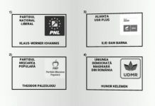 Cum va arăta buletinul de vot la prezidențiale