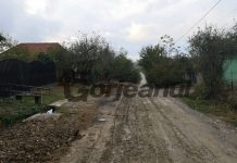 VIDEO: Pe drumul comunal din Câlnic Deal s-a semănat grâu! Artera e impracticabilă, plină cu gropi și mocirlă