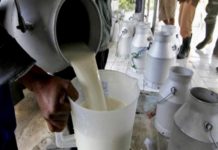 Amenzi de zeci de mii de lei și o ordonanță de interzicere a activității, aplicate de inspectorii DSVSA