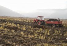 30 noiembrie, termen pentru accesarea banilor europeni în vederea asigurării culturilor