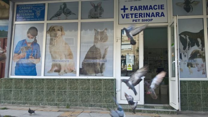 farmacie veterinara